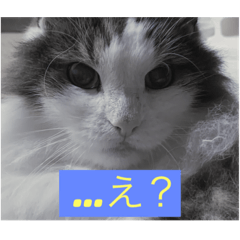 Natsumi_20200828203726