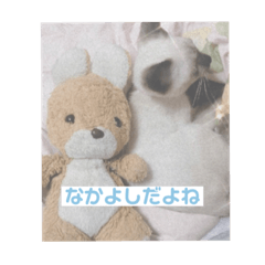 rina_20200829044515