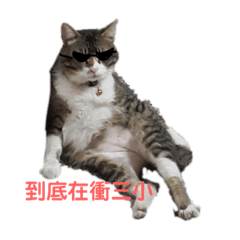 咪貼圖