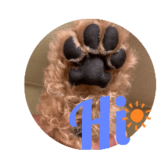 寶貝旺紀錄日常