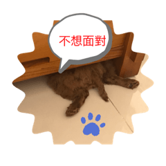 頑皮Cookie 愛玩樂