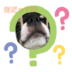 mizuki_20200829011952