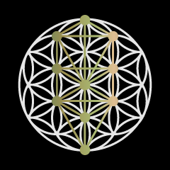 Sacred geometry -TREE OF LIFE 02-