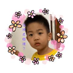 翰翰又來了！