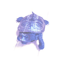 tomomi_20200829130701