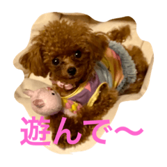 Risa_20200829125728