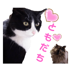 Satsuki with friends