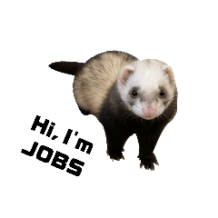 Jobs the lost ferret