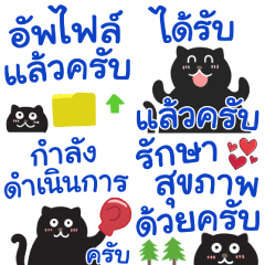 Working words by Thai Black Cat krab