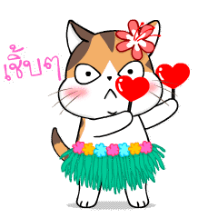 Soidow Cat Animated(TH)