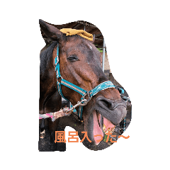 Suzu_20200829184010