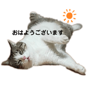nekosuki_20200829224343