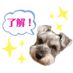 smile_20200829225740