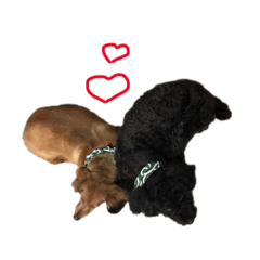 kurumi_20200829223856