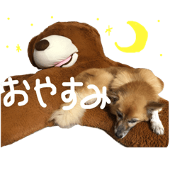 akane_20200830140624