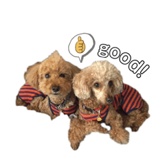 marina_20200830140138