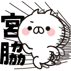 [Miyawaki] BIG sticker! Full power cat