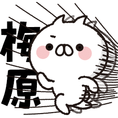 [Umehara] BIG sticker! Full power cat