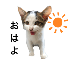 kanae_20200830144714