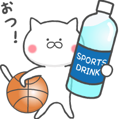 The cat loves basketball!2(animation)