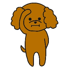 mocomoco toy poodle 2