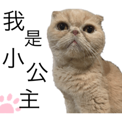 小公主❤️