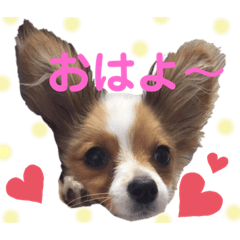 mina_20200830163924