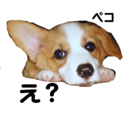 ayumi_20200830164143