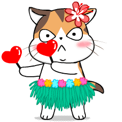 Soidow Cat Animated(Eng)