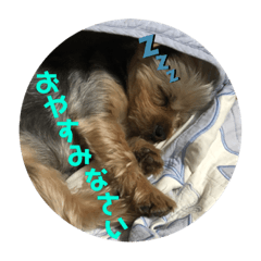 Yamada_20200830174334