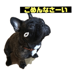 chie_20200830194411