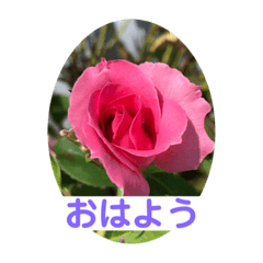 Suzu_20200830230126