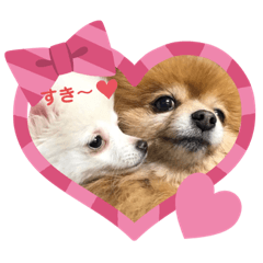 suzu_20200830234855