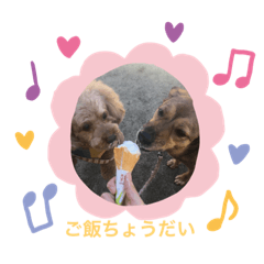 hikari_20200830204452