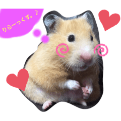 hamster stamp stamp