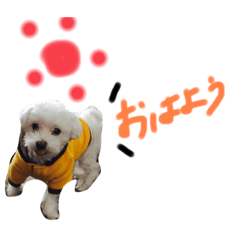 rina_20200830193614