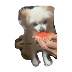 arisa_20200831010412