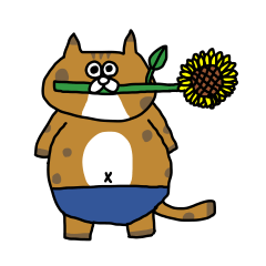 fat cat summer