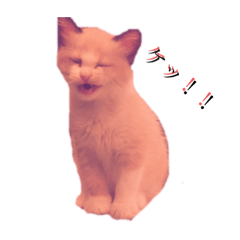 yuina_20200830180630