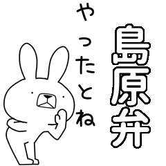 BIG Dialect rabbit [shimabara]