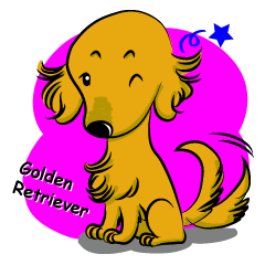 Golden Retriever named sakura