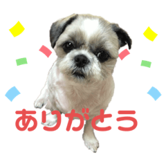 SAYA_20200831140932