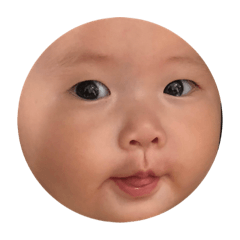 包子妹表情包1.0