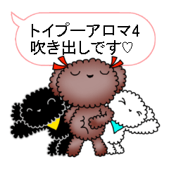 Toy Poodle Aroma4