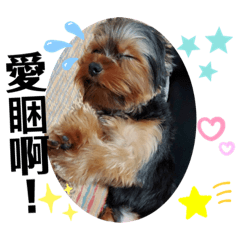 妞妞仔仔的貼圖