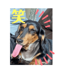 hana_20200831180841