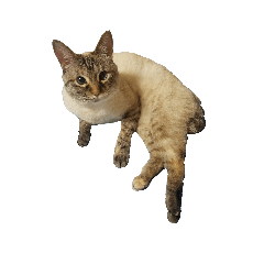 SATOSHI_20200831221849