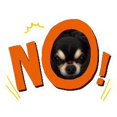 cocoa_20200901004921