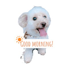 Emily_20200831210427