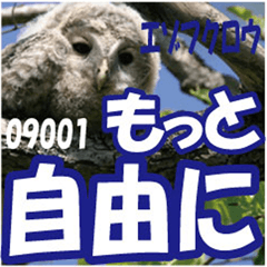 GoodDay-sticker@Ezo-owl 3